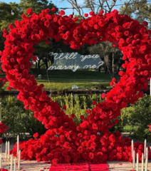 Proposal Package heart with Roses, candles and sign
