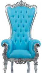 BABY BLUE LEATHER / SILVER (Shellback Throne) 