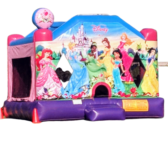 Large Disney Princess Bounce House