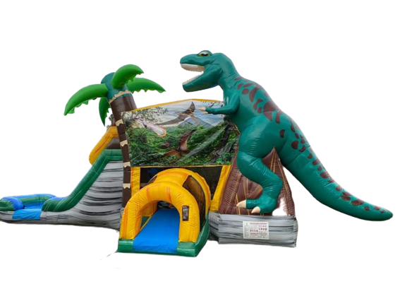 Dinosaur Bounce and Slide DRY