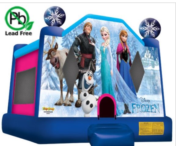 Large Disney Frozen