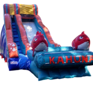 Big Kahuna Water Slide