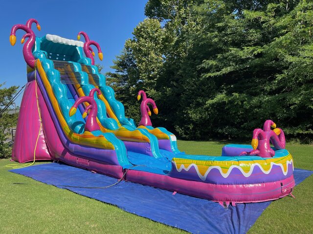 Giant Purple Water Slide in Memphis