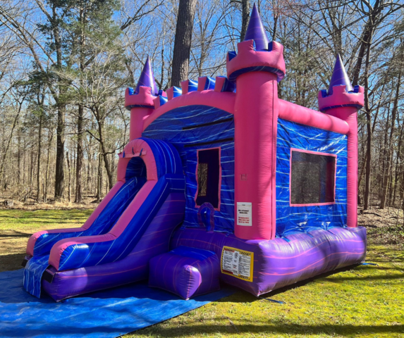 Royal Pink Castle with Slide for rent in Memphis, TN