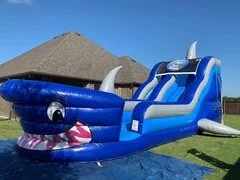 Shark  Tank Slide
