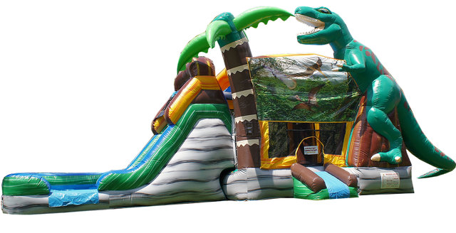 Dinosaur Bounce House With Slide Wet/Dry