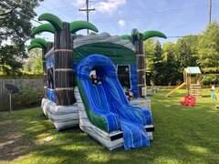 Tropical Crush Bouncer Slide Dry***New Inflatable***