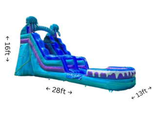 16' Jellyfish Water Slide***New Slide***