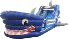18’ Shark Tank Slide $395