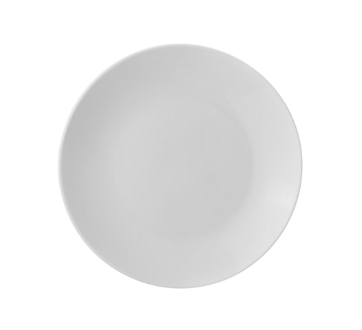Dinner Plate 10