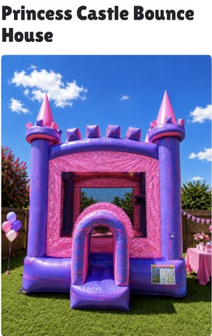Princess Bouncy Castle 