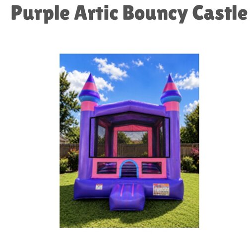 Purple Artic Bouncy Castle 