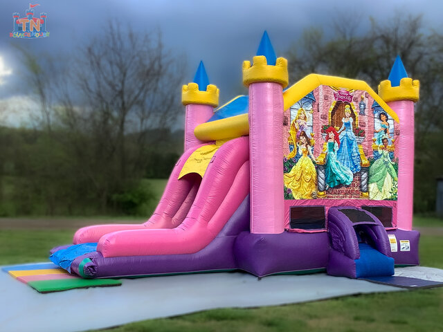 Disney Princess EZ Combo DRY