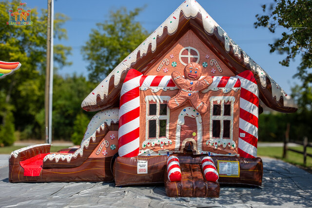 Gingerbread Combo DRY