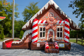 Gingerbread Combo DRY