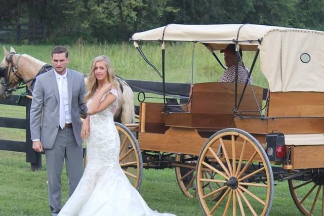 Horse and Buggy Rental