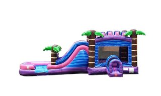 Purple Marble Bounce House with Water Slide