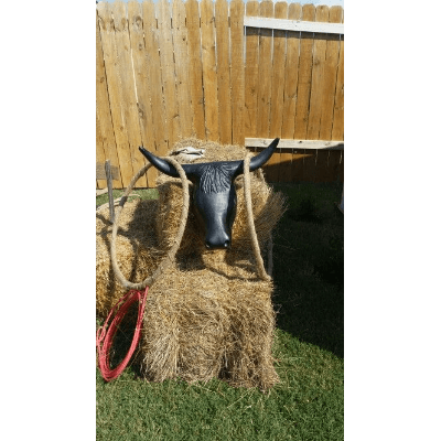 Steer Horn Ring Toss on Hay Bale