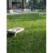 Cornhole Boards with Bean Bags 