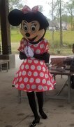 Professional Minnie Mouse 