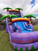 16 Ft. Palm Water Slide 