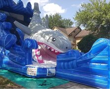 Shark Attack Water slide