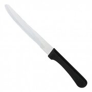 Steak Knife