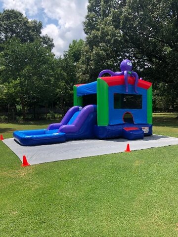 Dry Octopus Bounce House Slide Combo