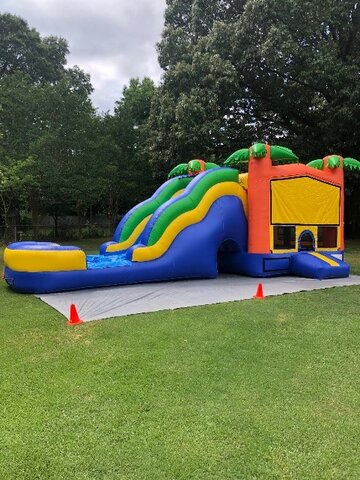 Wet Palm Bounce House Slide Combo