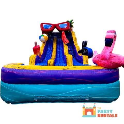The 17' Pool Party Dual Slide 