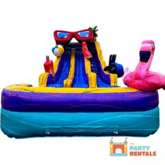 The 17' Pool Party Dual Slide 