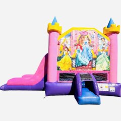 Disney Princess Combo Dry 