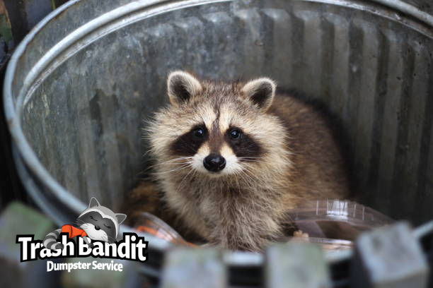 Randleman NC Trash Bandit Randleman NC Trash Bandit
