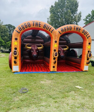Lasso The Bull