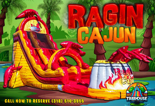 Rajun Cajun