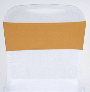 Gold stretch sash