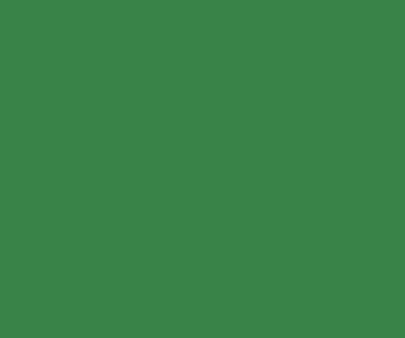 Green Napkin