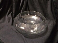 Glass Fish Bowl Vase