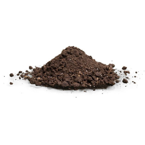 Load of Dirt
