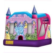  Disney Princess Combo