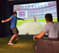 Cricket Simulators 