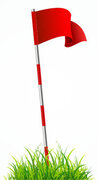 Stand Alone Mini Golf Flags set of 9 $100 or $13.00 each. Great add on to your DIY Mini Golf course. 