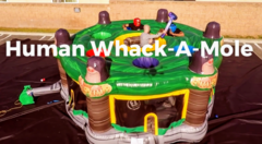 Human Whack-A-Mole RESIDENTIAL - Inflatables must be supervised by a responsible adult at all times during use