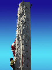 Climbing Rock Wall Incl Staff