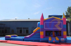 Theme-able Princess Combo Bounce House Castle with Water Slide