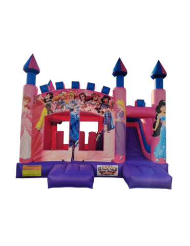 Disney Princess Combo