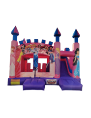 Disney Princess Combo