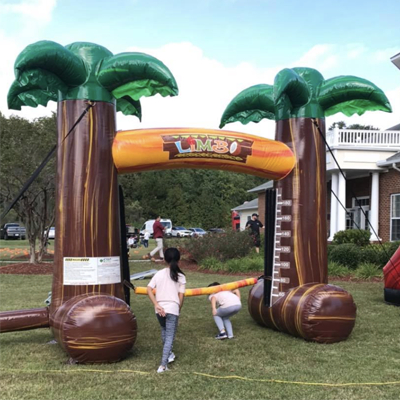glennville bounce house rental glennville bounce house rental