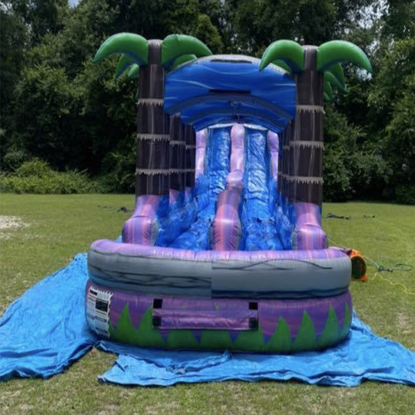 inflatable rental glennville ga inflatable rental glennville ga