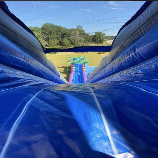 water slide rental Walthourville water slide rental Walthourville